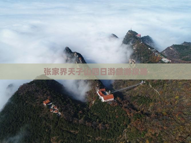 绥化去张家界天子山四日游