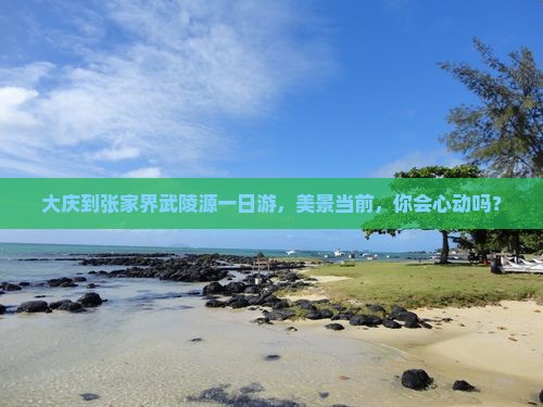 大庆去张家界武陵源一日