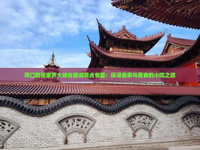 周口到张家界大峡谷旅游小吃