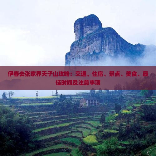 伊春去张家界天子山攻略