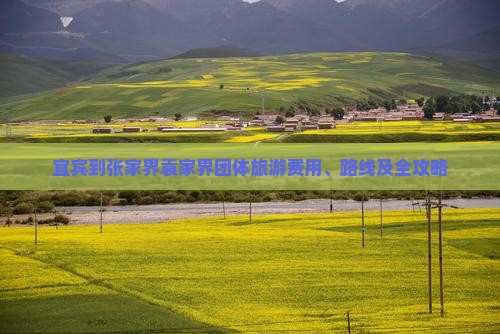 宜宾到张家界袁家界团体旅游