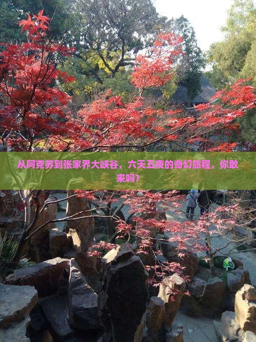 阿克苏到张家界大峡谷六日游