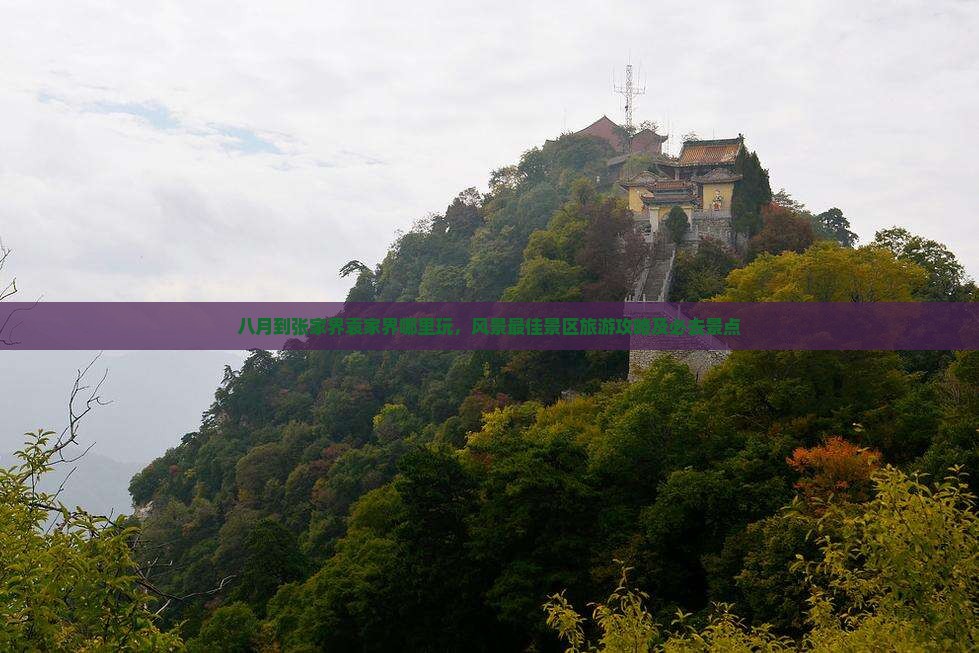 八月到张家界袁家界哪里玩