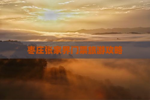 枣庄去张家界门票