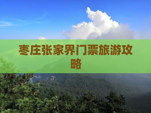 枣庄去张家界门票