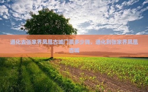 通化去张家界凤凰古城门票