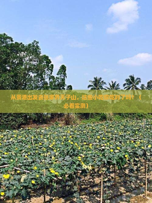 贵港去张家界天子山旅游小吃