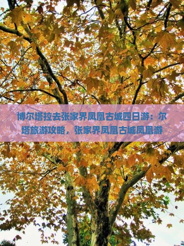 博尔塔拉去张家界凤凰古城四日游