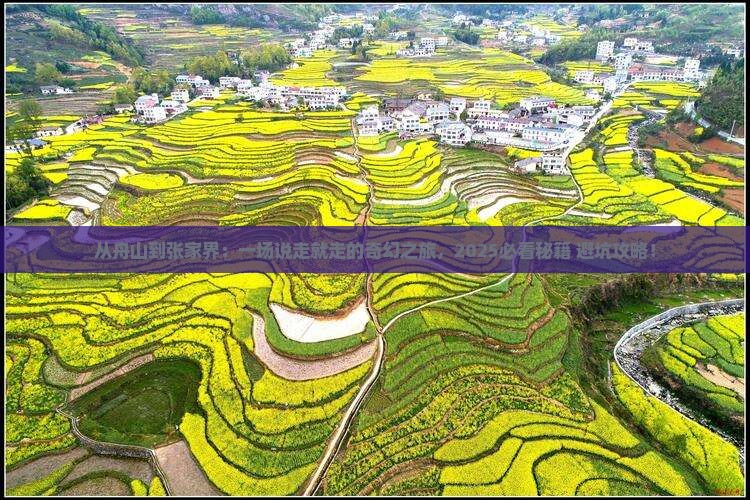 舟山去张家界森林公园旅游