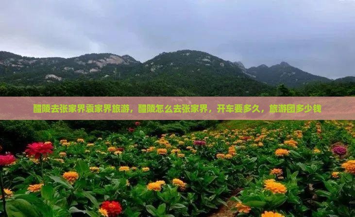 醴陵去张家界袁家界旅游