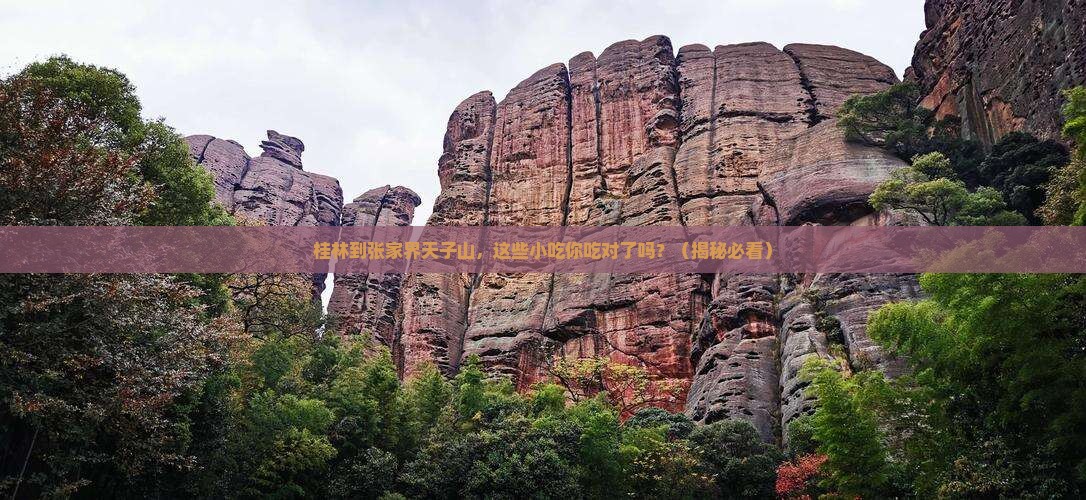 桂林到张家界天子山旅游小吃