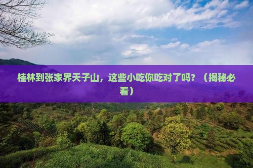 桂林到张家界天子山旅游小吃