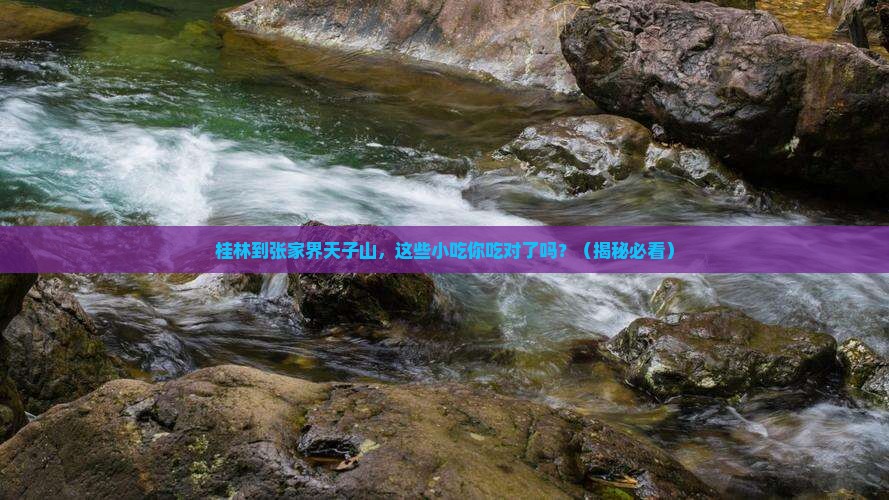 桂林到张家界天子山旅游小吃