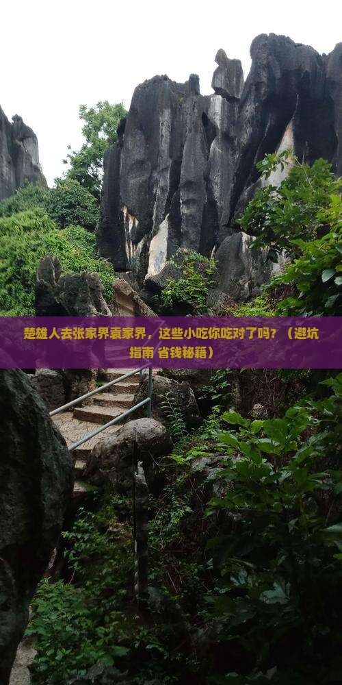 楚雄去张家界袁家界旅游小吃