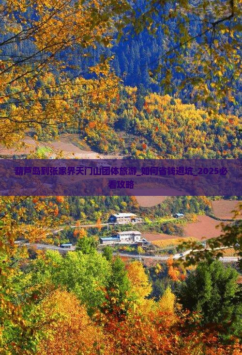 葫芦岛到张家界天门山团体旅游