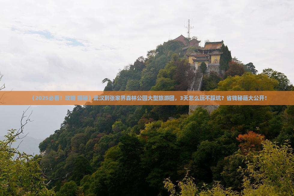 武汉到张家界森林公园大型旅游团