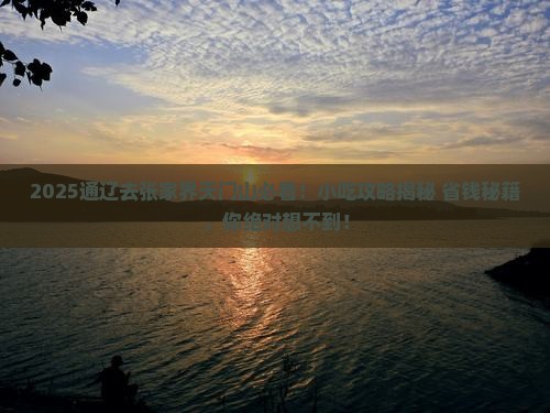 通辽市去张家界天门山旅游小吃