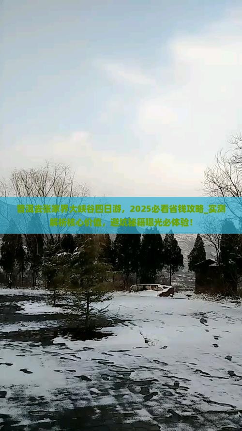 普洱去张家界大峡谷四日游 普洱去张家界大峡谷四日游