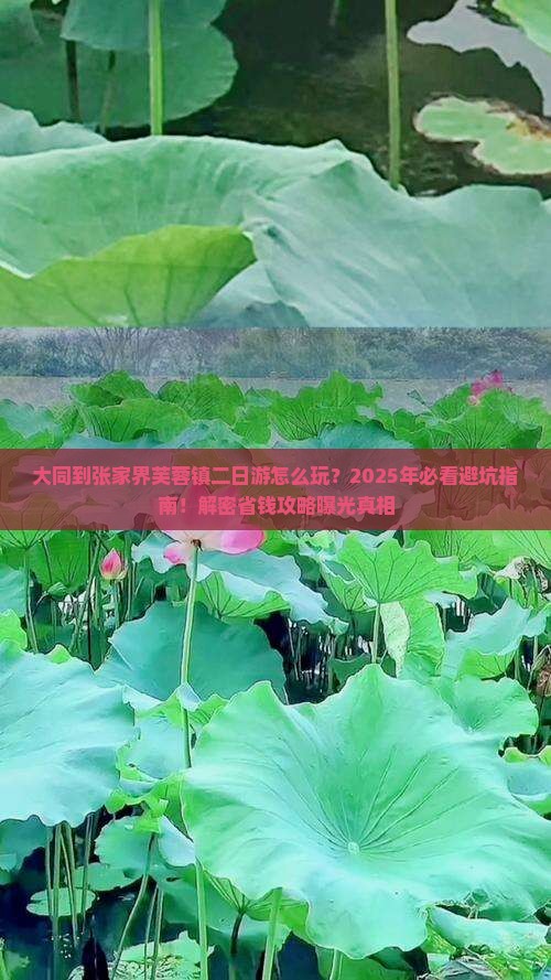 大同到张家界芙蓉镇二日游