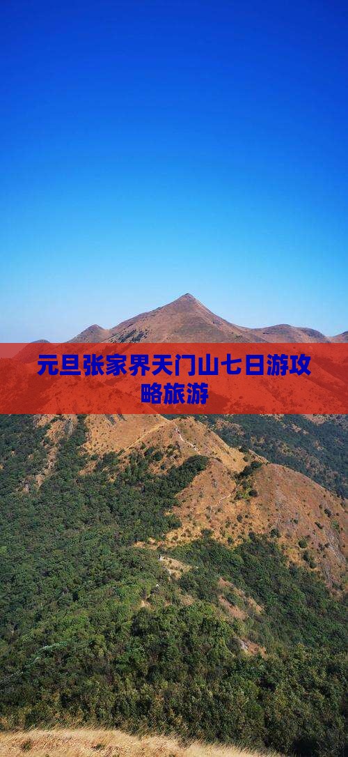 元旦去张家界天门山七日游