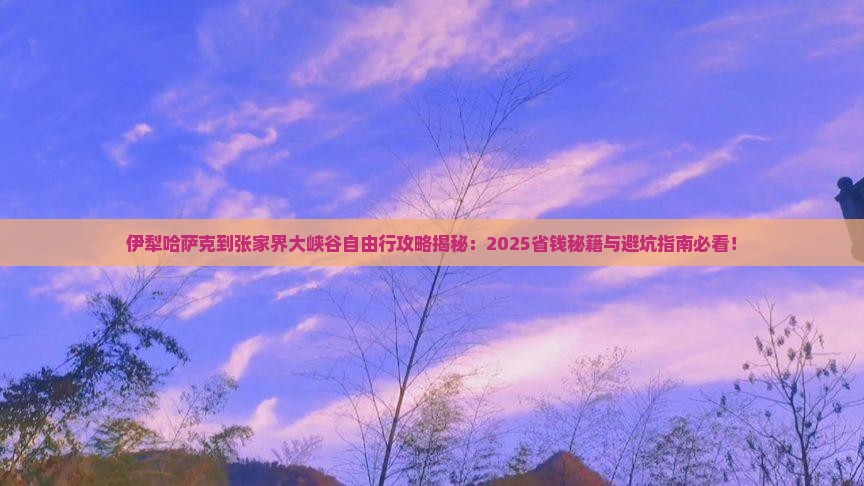伊犁哈萨克到张家界大峡谷自由行
