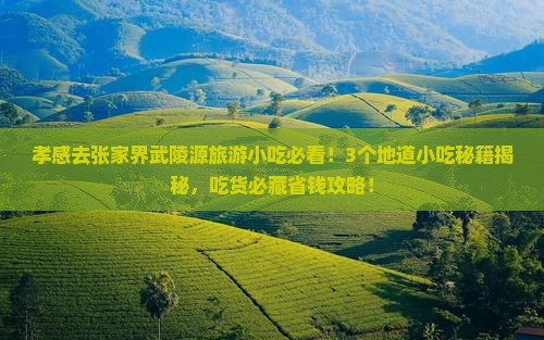 孝感去张家界武陵源旅游小吃