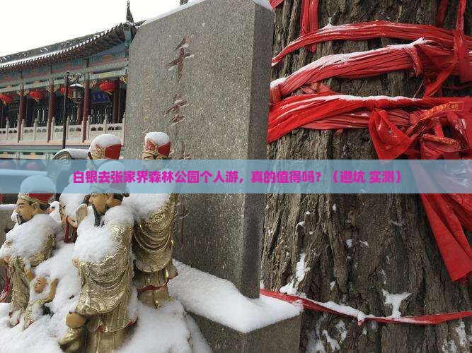 白银去张家界森林公园个人游