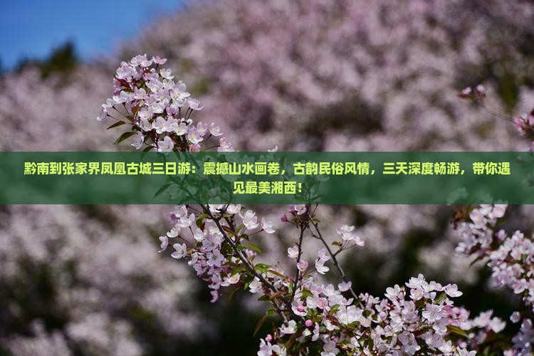 黔南到张家界凤凰古城三日游