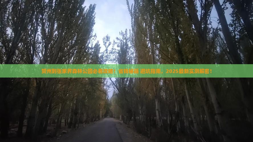 贺州到张家界森林公园旅行社