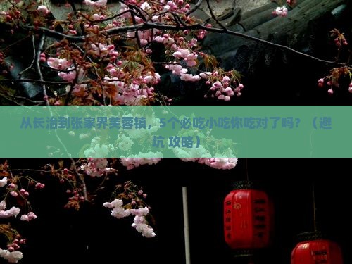 长治去张家界芙蓉镇旅游小吃