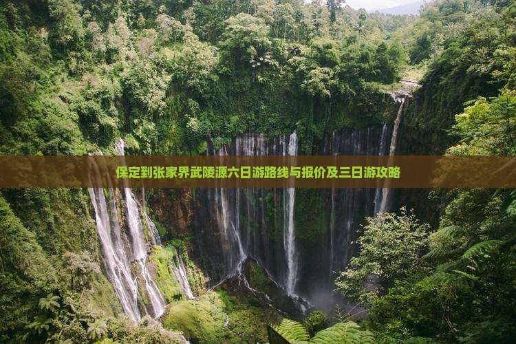 保定到张家界武陵源六日游