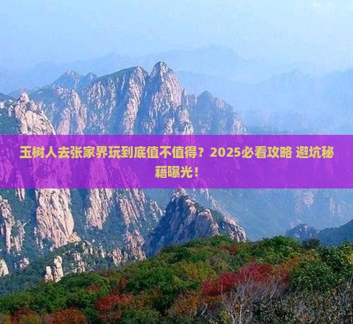 玉树去张家界森林公园旅游