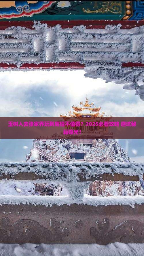 玉树去张家界森林公园旅游