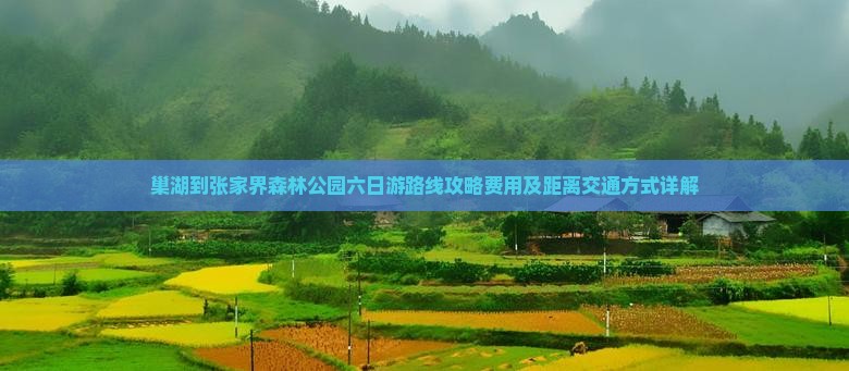 巢湖到张家界森林公园六日游