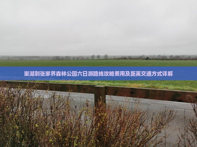 巢湖到张家界森林公园六日游