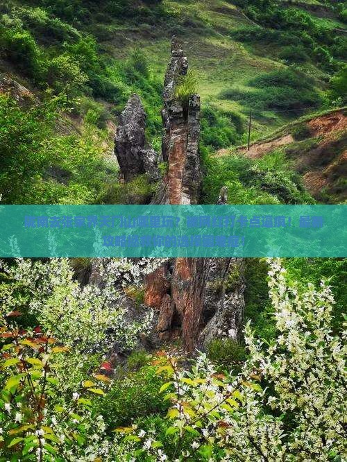 陇南去张家界天门山哪里玩