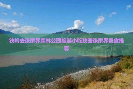 铁岭去张家界森林公园旅游小吃