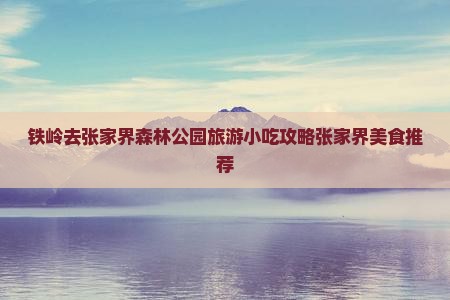 铁岭去张家界森林公园旅游小吃