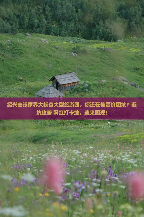 绍兴去张家界大峡谷大型旅游团