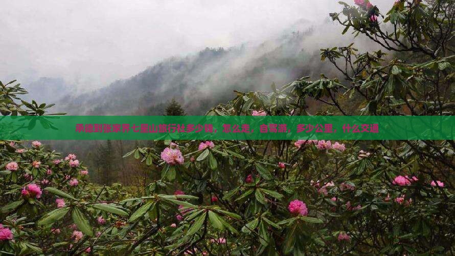 承德到张家界七星山旅行社