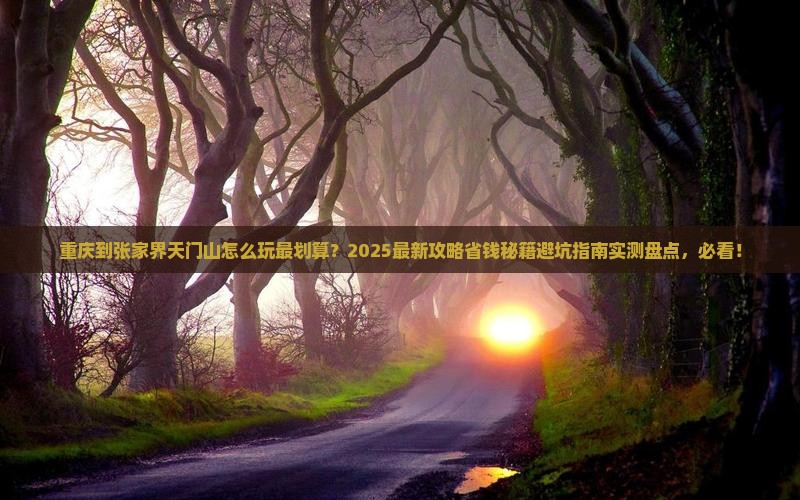 重庆到张家界天门山哪里玩