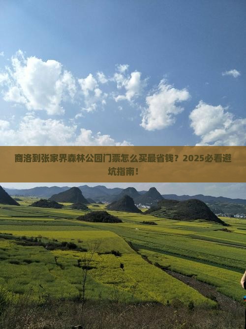 商洛到张家界森林公园门票