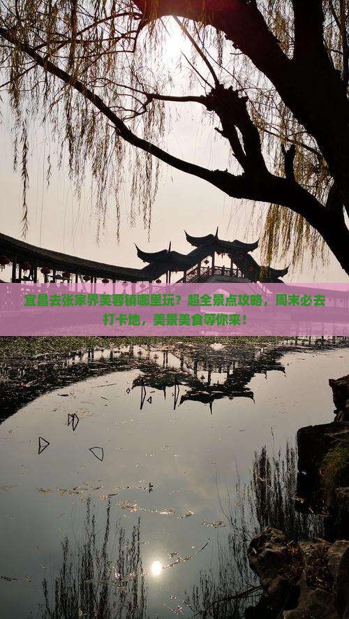 宜昌去张家界芙蓉镇哪里玩