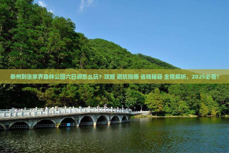泰州到张家界森林公园六日游