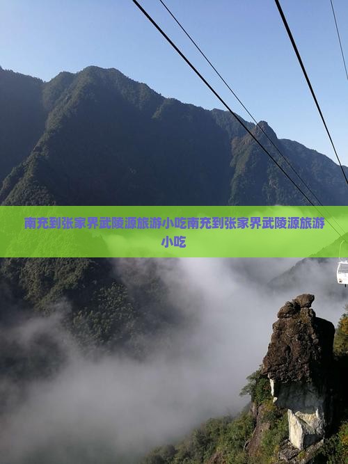 南充到张家界武陵源旅游小吃