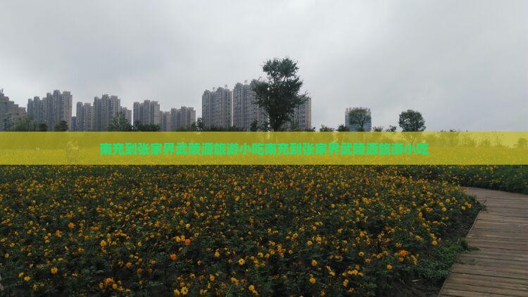 南充到张家界武陵源旅游小吃