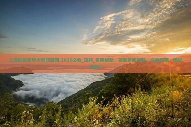 上海到张家界大型旅游团