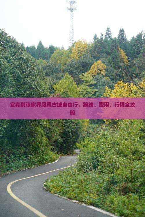 宜宾到张家界凤凰古城自由行