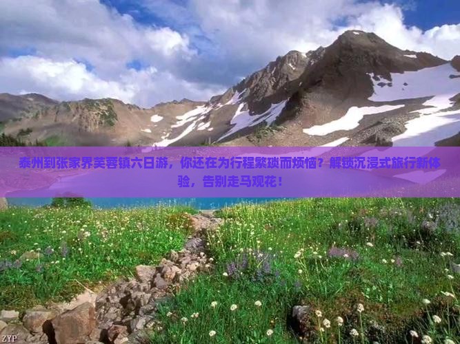 泰州到张家界芙蓉镇六日游