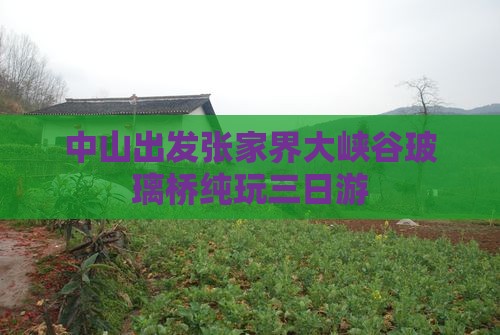 中山出发张家界大峡谷玻璃桥纯玩三日游